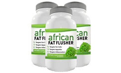 Fat Flusher Diet